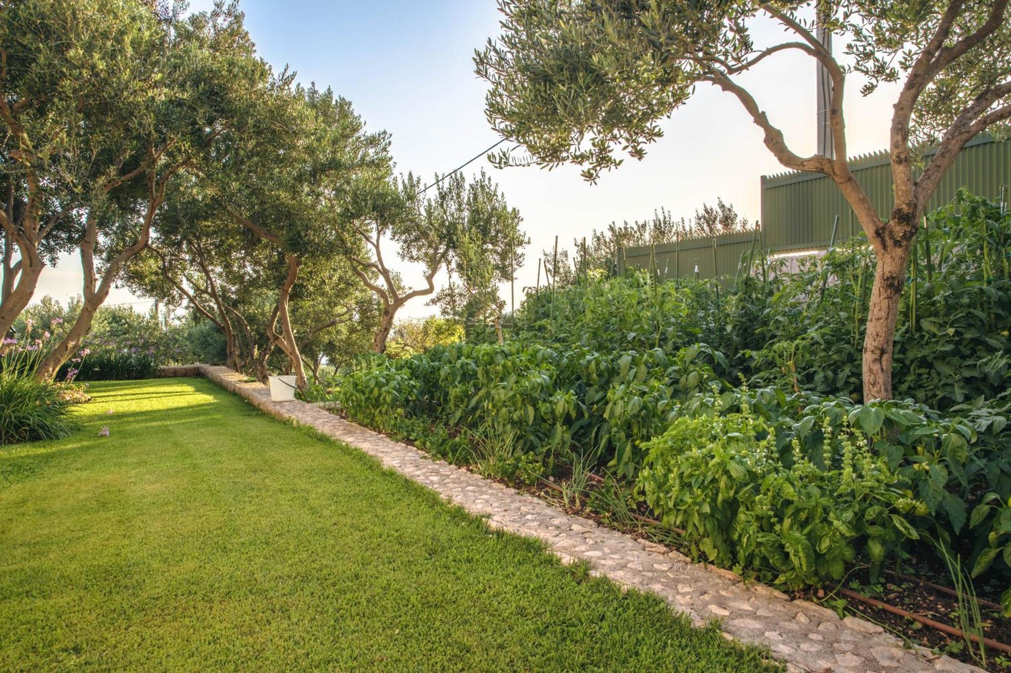 Villa Tamaris Μακάρσκα Εξωτερικό φωτογραφία